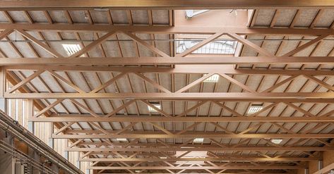 Mass Timber, Timber Truss, Wooden Structure, Exposed Beams, Waterpark, Water Park, Austria, Beams, Room Divider