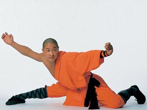 Leopard style Shaolin Kung Fu, Leopard Style, Muscular Strength, Chi Kung, Leopard Fashion, Martial Artists, Figure Poses, Mixed Martial Arts, Tai Chi