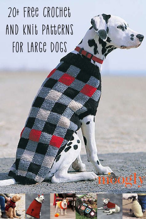 Who's got a good BIG boy (or girl)? I've shared dog-themed roundups before, but one comment I often get is the need for more patterns for bigger dogs! So today I've put together a list of free crochet and knit patterns for large dogs. Each of these patterns includes a largest size that is at least 26" around the chest! But there are usually smaller sizes too, so if your dog is smaller, be sure to click your favorites too! via @moogly Big Dog Sweaters, Coat Knitting Pattern, Crochet Dog Sweater Free Pattern, Large Dog Coats, Knitted Dog Sweater Pattern, Knitting Space, Large Dog Sweaters, Knitting Patterns Free Dog, Knitting Christmas