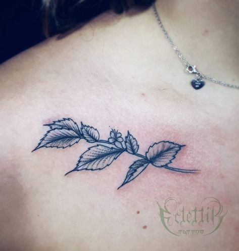 Mint leaves Mint Sprig Tattoo, Mint Leaves Tattoo, Mint Leaf Tattoo, Mint Tattoo, Herb Tattoo, Mint Plant, Leaves Tattoo, University Series, Mint Plants