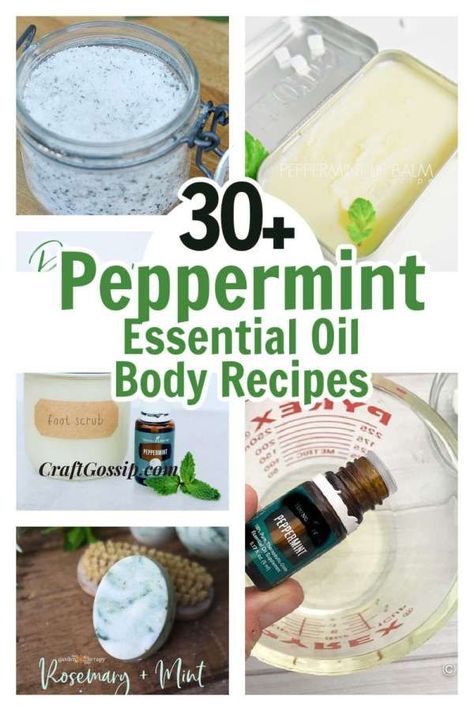 This roundup is all about Peppermint Essential Oil. I recently started creating roundups that used the same oil rather than a style of DIY. Why? I was getting into the bad habit of buying an Essential oil for the … Read More... Skin Oil Diy, Foot Scrub Recipe, Homemade Toner, Coconut Essential Oil, Essential Oil Bath, Bath Salts Recipe, Cooking With Essential Oils, Peppermint Lip Balm, Peppermint Soap