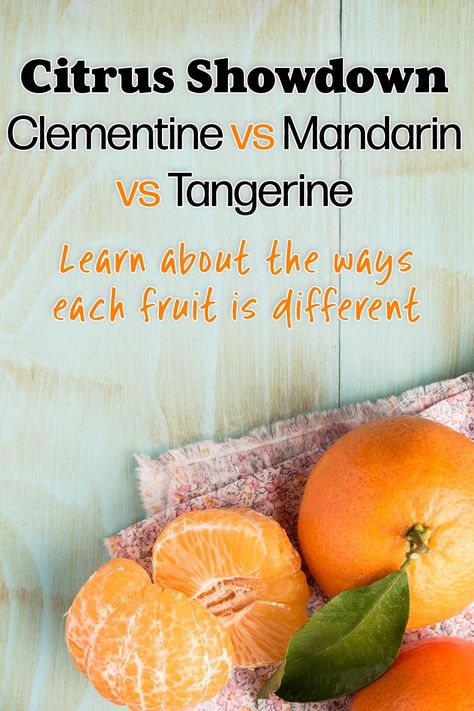 When it comes to citrus fruits, the choices are seemingly endless. Let's explore the similarities, differences, and unique characteristics of clementines vs mandarins vs tangerines. Clementine Benefits, Tangerine Benefits, Best Time To Eat Oranges, Tangerine Benefits Health, Mandarin Orange Smoothie, How To Store Oranges, Mandarin Orange Benefits, Benefits Of Mandarin Oranges, Oranges Benefits