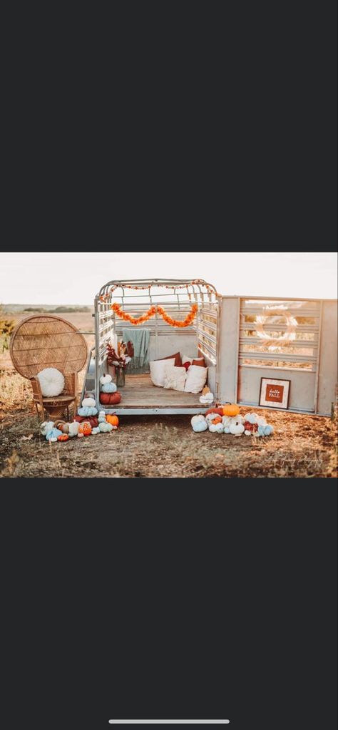 Cow Trailer Photoshoot, Western Fall Mini Sessions, Fall Tractor Photo Shoot, Stock Trailer Christmas Photos, Stock Trailer Photoshoot, Fall Mini Photoshoot Ideas, Horse Trailer Photoshoot, Greenhouse Mini Session, Fall Picture Set Up Ideas