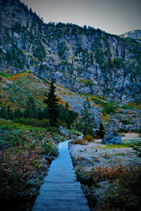 Heather Lake: A hike near Seattle • Pacific Northwest Fulfilled Heather Lake Washington, Seattle Nature, Pacific Northwest Summer, Pacific Northwest Winter, Pacific Northwest Hiking, Seattle Hiking, Pnw Camping, Strange Trails, Pacific Northwest Trail