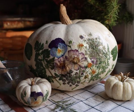 Decorating Pumpkins, Decoupage Pumpkins, Pressed Flowers Diy, Press Flowers, Craft Pumpkins, Growing Cut Flowers, Flower Pressing, Pumpkin Uses, Pumpkin Decorations