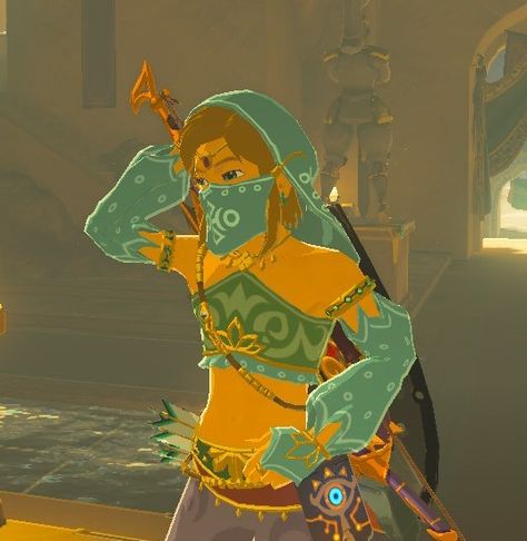 Breath Of The Wild Link, Zelda Botw, Zelda Breath Of The Wild, Link Zelda, Legend Of Zelda Breath, Zelda Breath, Breath Of The Wild, Legend Of Zelda, The Wild