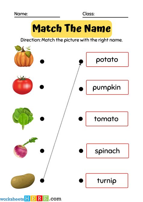 Match The Name with Vegetables Pictures PDF Worksheets For Kindergarten and Kids - WorksheetsHere.com Vegetables Worksheets Kindergarten, Vegetables Worksheets For Kids, Fruits And Vegetables Names, Vegetables Names With Pictures, Vegetables Flashcards, Vegetables Pictures, Ash Gourd, Kids Vegetables, Vegetable Pictures