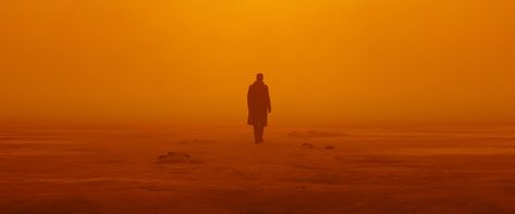 Rick Deckard, Roger Deakins, Shadow Of The Colossus, Denis Villeneuve, Still Frame, Best Cinematography, Cinema Photography, Blade Runner 2049, Movie Shots