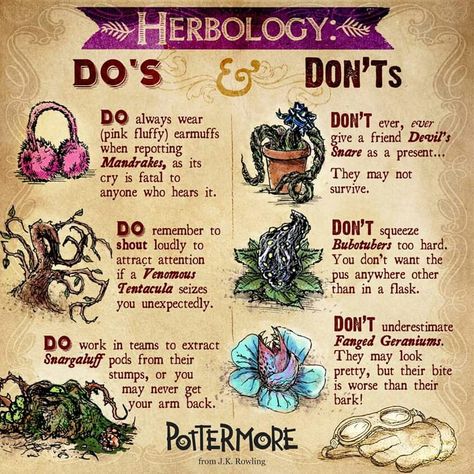 Herbology do & don't Shifting Hogwarts, Professor Sprout, Harry Potter Journal, Witch Life, Classe Harry Potter, Citate Harry Potter, Hogwarts Gryffindor, Harry Potter Classroom, Harry Potter Printables