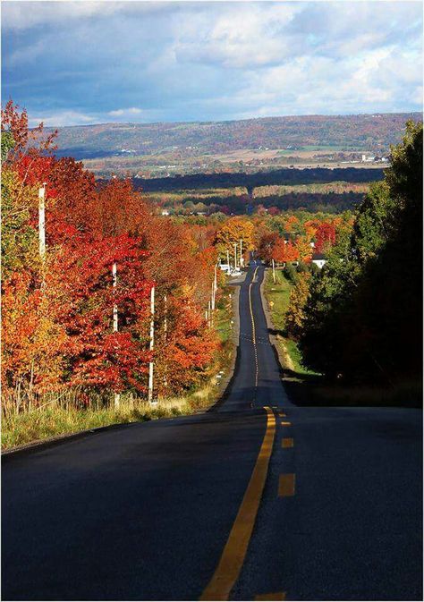 Annapolis Valley in all her fall splendour! Annapolis Valley, Western Life, Nova Scotia Canada, Cape Breton, Zebra Stripes, Green Gables, Hello Friend, Nova Scotia, Taking Pictures