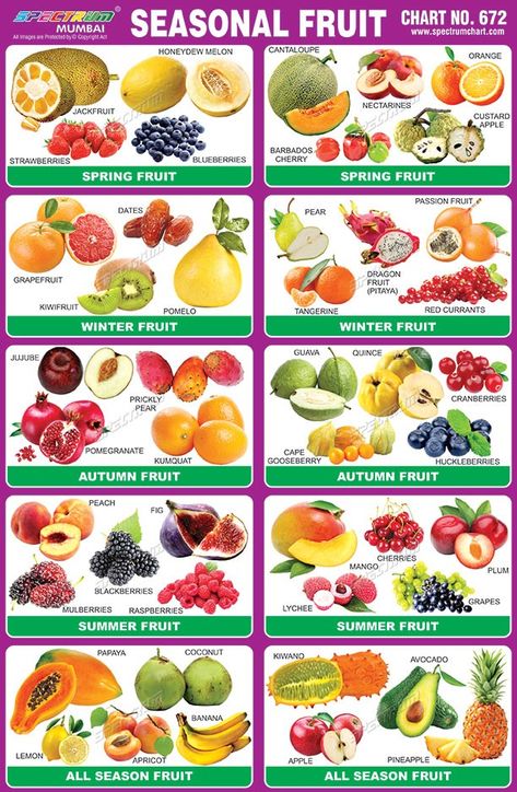 Fruit Season Chart, Seasons Chart, Fruits And Vegetables List, Vegetable Chart, List Of Vegetables, Winter Fruit, Fruits Images, Vegetable Seasoning, In Season Produce