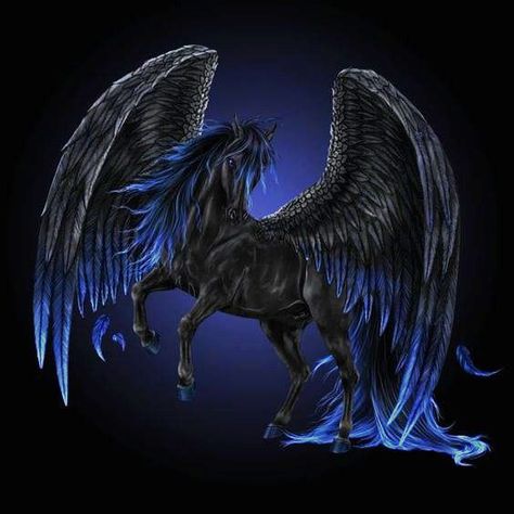 Black Pegasus |  by Howrseprofile 4 Jens tatt Pegasus Drawing, Black Pegasus, Pegasus Art, Magical Horses, Fantasy Horses, Unicorn Horse, Unicorn Wallpaper, Mythical Animal, 3d Tattoos