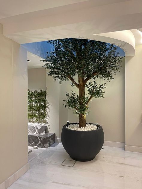 Interior Planters, Cream Office, Air Well, Feature Lighting, Planters Ideas, Benefits Of Gardening, Potted Plants Outdoor, Fake Trees, Indoor Trees