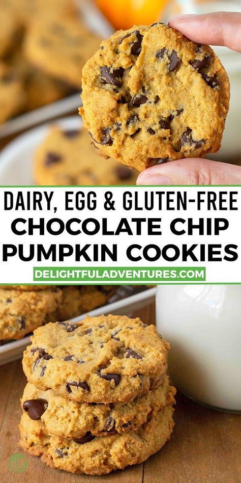 Dairy Wheat And Egg Free Recipes, Egg And Wheat Free Recipes, Wheat Egg And Dairy Free Recipes, Allergen Free Pumpkin Recipes, Gf Df Rsf Recipes, Gluten Free Pumpkin Protein Cookies, Gluten Free Chocolate Chip Pumpkin Cookies, Gluten Free Dairy Free Egg Free Pumpkin Recipes, Wheat Free Egg Free Recipes