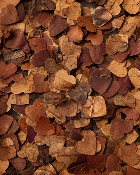 Biodegradable confetti stamped from dead leaves, nothing wasted. Fall Leaf Confetti, Fall Wedding Confetti, Leaf Confetti Wedding Leaves, Leaves Confetti, Palette Aesthetic, Spooky Wedding, Orange Confetti, Autumn Confetti, Leaf Confetti