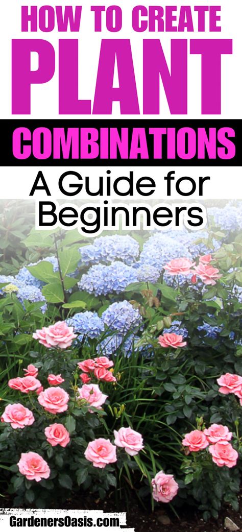 These tips for creating plant combinations in your yard will help make your garden landscaping look beautiful. Great ideas for updating your garden design with beautiful flowers, bushes and perennials. Spirea Bush, Flower Combinations, Sun Loving Plants, Short Plants, Perennial Shrubs, Patio Garden Design, Evergreen Plants, Spring Plants, Sun Plants