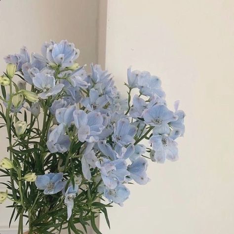 Flowers 🌺 on Twitter: "… " Blue Flower Arrangements, Ipad Lockscreen, Ipad Organizer, Ipad Essentials, Everything Is Blue, Custom Ipad, Light Blue Aesthetic, Ipad Background, Blue Aesthetic Pastel