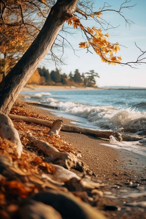 fall aesthetic Fall Aesthetic, Beach Aesthetic, The Ocean, The Sea