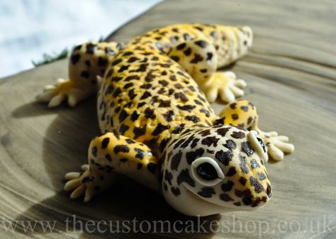 A 13th Birthday Cake with handmade leopard Gecko sat on a rock. Based upon the birthday boys pet!  www.thecustomcakeshop.co.uk www.facebook.com/TheCustomCakeShop Gecko Birthday Cake, Gecko Cake, Lizard Cake, Diy Sharpie Crafts, Lightning Mcqueen Birthday Cake, 13th Birthday Cake, Tasty Sweets, Homemade Gifts For Mom, Lego Birthday Cake