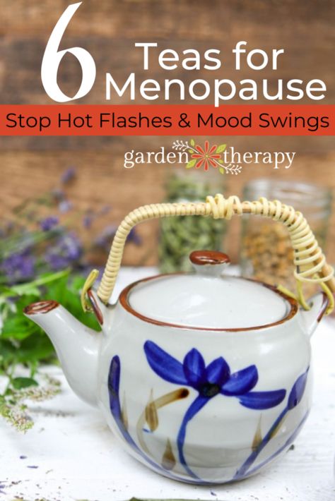 Menopause comes with all sorts of (not-so) fun symptoms. Here are some of the best herbal teas for menopause to help ease your symptoms. #tea #herbgarden #herbs #menopause #women #herbaltea #herbalremedies #gardentherapy Herbs For Tea, Tea Blends Recipes, Herbal Tea Garden, Sage Tea, Best Herbal Tea, Garden Therapy, Harvesting Herbs, Herbal Teas Recipes, Herbal Recipes