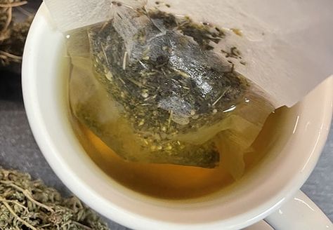 Parasite Tea Cleanses, Antiparasitic Herbs, Healing Teas, Medicine Recipes, Herbal Medicine Recipes, Healthy Juice Drinks, Healthy Remedies, Tea Cleanse, Raw Pumpkin Seeds