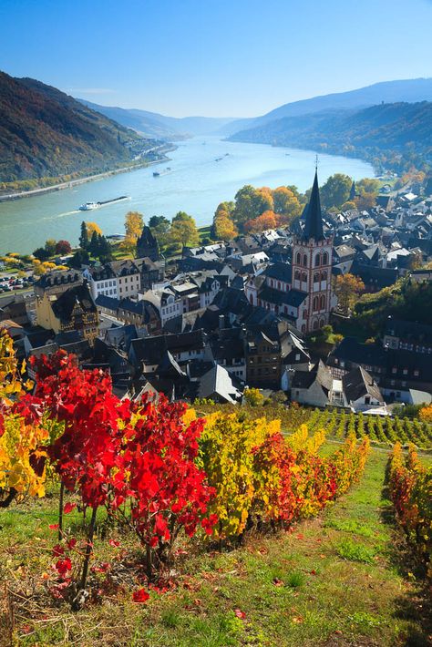 Village of Bacharach in deUpper Middle Rhine Valley, Rheinland-Pfalz_ West Germany Bacharach Germany, Rhineland Palatinate, Visit Germany, Rhine River, Voyage Europe, Germany Travel, Places Around The World, Aerial View, Vacation Spots