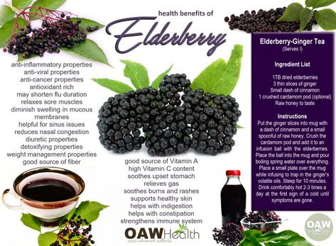 Incredible Health Benefits of Elderberry - OAWHealth Elderberries Benefits, Benefits Of Elderberry, Elderberry Benefits, Freezing Lemons, Rosemary Gladstar, Tomato Nutrition, Calendula Benefits, Fruit Health Benefits, Matcha Benefits