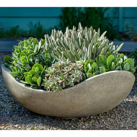 Large bowl planters