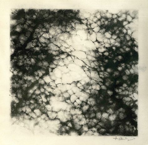 Monoprint Art, Marmaris, Foto Art, Monoprint, Jolie Photo, Art Center, Tree Art, Art Plastique, Arbor