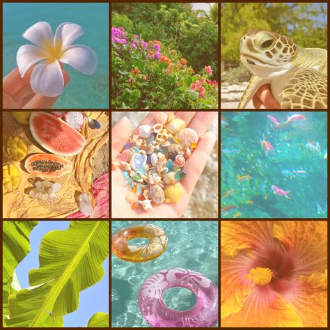 Tropical Moodboard, Adopt Idea, Coconut Dream, Mood Board Inspiration, Mood Board Design, Aesthetic Themes, Tropical Vibes, Aesthetic Collage, Art Challenge