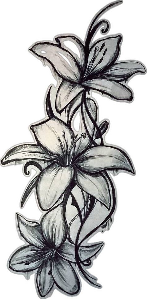 Lilly Tattoo Design, Stargazer Lily Tattoo, Lilly Flower Tattoo, Lily Tattoo Meaning, Name Flower Tattoo, Tiger Lily Tattoos, Water Lily Tattoos, Lily Tattoo Design, Lily Flower Tattoos