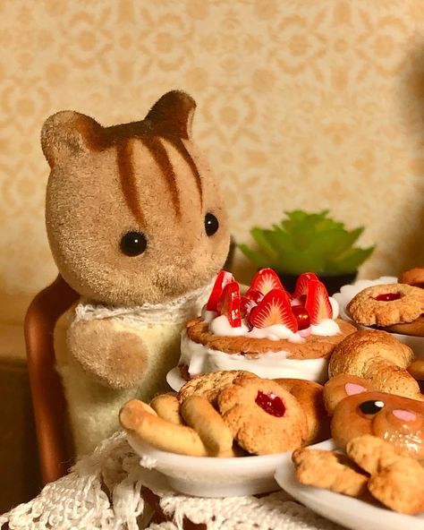 Me he vuelto adicta a esta chiquitín adorable. ₊˚ʚ 🍰🌱Aún no se qué nombre ponerle, ¿alguna idea? ₊˚✧ﾟ. . . . #sylvanianfamilies #sylvanianfamily #ternurines #sylvanianphotography #sylvanianfamilies_es #miniature #miniaturefood #kawaii #sylvanianfamiliescollection #sylvanianfamiliesfood Critters 3, Calico Critters Families, Sylvanian Family, Miniature Things, Rabbit Dolls, Calico Critters, Little Critter, Mini Things, Cute Little Things