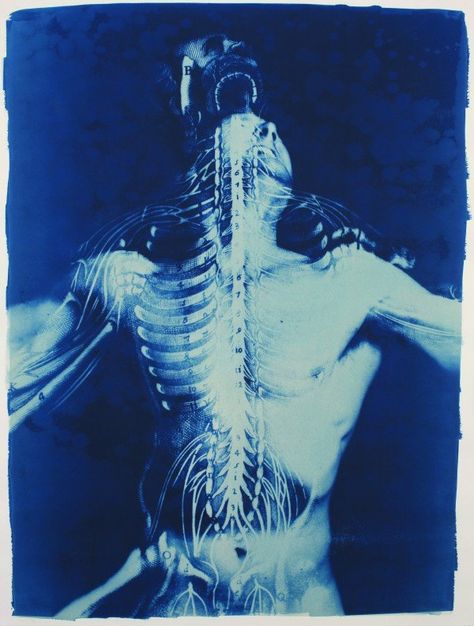 Skeleton, A Man, Blue And White, Photography, Blue, White, Art