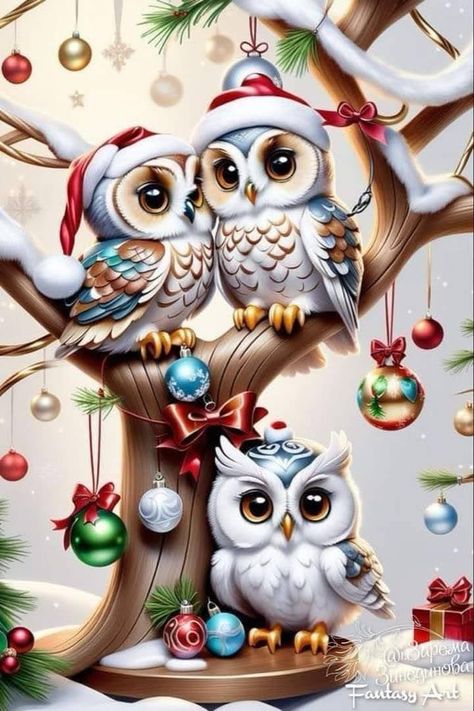 Cute Owls Wallpaper, Christmas Background Images, Owl Images, Owl Wallpaper, Christmas Topper, Owl Pictures, Christmas Owls, Flash Art, Create Art