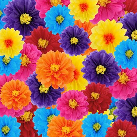 Amazon.com: 18 Pcs Mexican Paper Flowers Colorful Fiesta Tissue Paper Flowers Pom Poms Mexican Carnival Paper Flowers for Floral Party Backdrop Wedding Birthday Party Craft, 6" 8" 10" : Home & Kitchen Mexican Paper Flowers, Arte Aesthetic, Flowers Simple, Tissue Pom Poms, Flowers Colorful, Birthday Party Crafts, Backdrop Wedding, Art Animation, Papercraft Templates