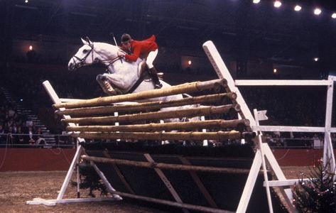 Nerves of steel (and horses with wings): 6 amazing moments from high jump history Snowman Horse, Cute Ponies, Horse Dressage, Dream Beach, Horse Equestrian, Horse Jumping, High Jump, Horse Training, Show Jumping