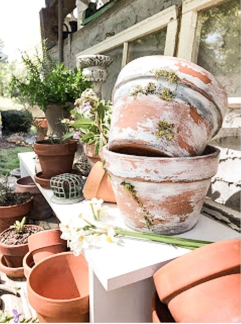 Aged Terra Cotta Pots, Vintage Clay Pots, Sustainable Diy Projects, Faux Topiary, Moss Paint, Aging Terra Cotta Pots, Diy Flower Pots, Planter Design, Chippy Paint