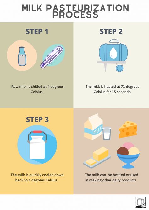 One of the most common processes that milk undergoes to make sure it is safe is pasteurization #milk #dairy #pasteurization #cheese #cheesemaking #dairyprocessing #milkprocessing #butter How To Pasteurize Milk, Cooking Materials, Pasteurized Milk, Milk Processing, Milk The Cow, Milk Dairy, Weak Immune System, Dairy Industry, Pasteurizing Milk