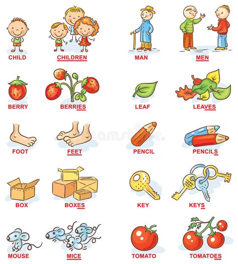 Plural Of Nouns, Nouns For Kids, Singular And Plural Words, Teaching Nouns, Plurals Worksheets, Plural Nouns Worksheet, Fruits Name In English, Plural Words, Singular Plural