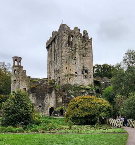 Disney Princesses Aesthetic, Brave Disney Princess, Princesses Aesthetic, Blarney Castle Ireland, Brave Disney, Ireland Aesthetic, Blarney Castle, Castle Ireland, Old Castle