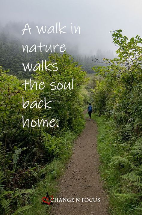 ...my blog post 10-7-2024 Spend Time In Nature Quotes, Nature Is Home Quotes, Evening Walk Quotes Nature, Back To Nature Quotes, Beautiful Quotes About Nature, Go For A Walk Quotes, Nature Inspired Quotes, Time In Nature Quotes, Nature Motivational Quotes