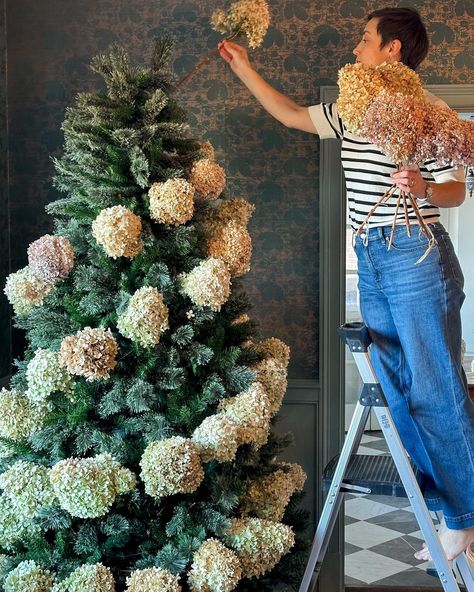 Remember all the hydrangeas I dried during the late summer/early fall? This is why! Last year I saw a Christmas tree that @jeanstofferdesign did with all sorts of dried hydrangeas and botanicals… I was obsessed and began planning for this year. I’m not quite done with this tree yet- I need a tree topper and I have some clip on candles coming but I felt these ribbons of hydrangeas needed a spot here. Who will be drying hydrangeas next year?? #christmastree #oldhouselove #wallpaper #house... Drying Hydrangeas, Wallpaper House, Late Summer Early Fall, Dried Hydrangeas, Early Fall, Tree Topper, Late Summer, Tree Toppers, A Tree