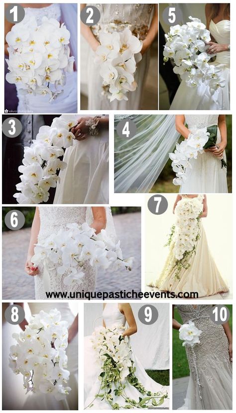 10 White Orchid Wedding Bouquet Ideas/ and the only way to do a cascading bouquet Indoors Wedding, Wedding Bouquets White, White Orchid Bouquet, White Orchid Wedding, Orchid Bouquet Wedding, Wedding Bouquet Ideas, Cascading Wedding Bouquets, Bride's Bouquet, Orchid Bouquet