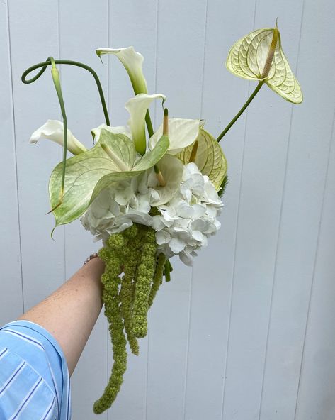 bouqs for my unreal bride and her ride or dies 🐉 White Hand Bouquet, White Bouquet Wedding, Elopement Bouquet, White Flower Bouquet, Bouquet Images, Diy Bouquet Wrap, Bridesmaids Bouquet, Bridal Bouquet Flowers, Chic Brides