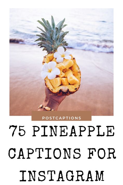 Fruit Captions Instagram, Turtle Captions Instagram, Pineapple Captions For Instagram, Pineapple Quotes Funny, Pineapple Pics, Pineapple Sayings Quotes, Stand Tall Like A Pineapple Quote, Pineapple Puns, Cake Captions