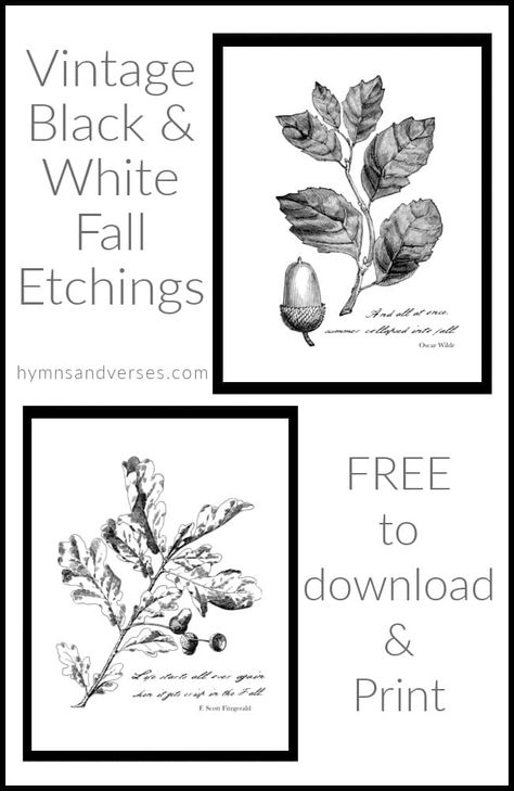 Black and White Vintage Botanical Etchings for Fall Free Botanical Printables, White Journal, Vintage Fall Decor, Free Fall Printables, Fall Placemats, Sunday Inspiration, Free Vintage Printables, Black And White Vintage, Free Printable Wall Art