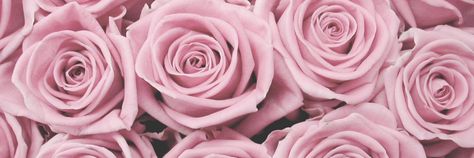 Pink Facebook Cover Photos, Girly Cover Photos, Twtr Header, Fb Cover Photos Aesthetic, Facebook Cover Photos Flowers, Facebook Backgrounds, Facebook Cover Photos Vintage, Pink Header, Facebook Background