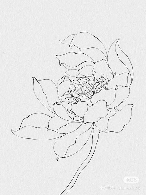 White Lotus Flower Drawing, Black And White Flower Sketch, Lotus Flowers Sketch, Lotus Flower Drawing Sketches, Lotus Flower Drawing Tattoo, Big Flower Drawing, Drawing Lotus Flower, Lotis Flower, Lotus Flower Sketch