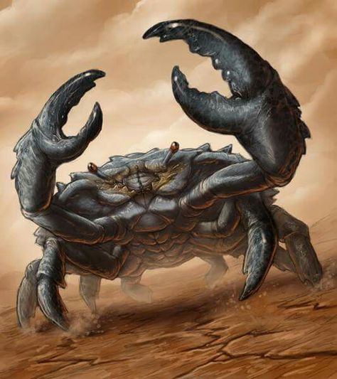 Rock Crab Tato Maori, Store Building, Crab Tattoo, Crab Art, Dark Sun, D D Monsters, Amazing Artists, Dnd Monsters, 3d Tattoo