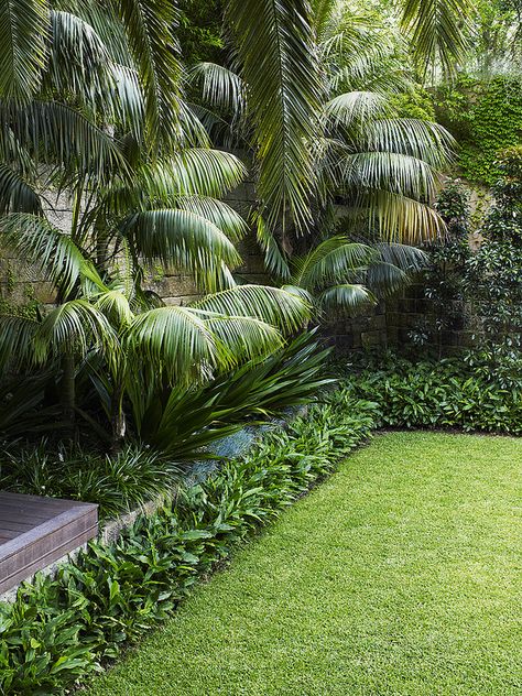 Lawn with modern tropical planting style | by William Dangar & Associates Garden Concept, Tropical Landscape Design, Simple Backyard, Small Backyards, Tropical Garden Design, Tropical Backyard, Gardens Ideas, Front Garden Landscape, Landscape Images